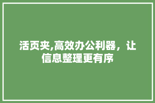 活页夹,高效办公利器，让信息整理更有序 建站教程
