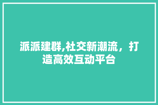 派派建群,社交新潮流，打造高效互动平台