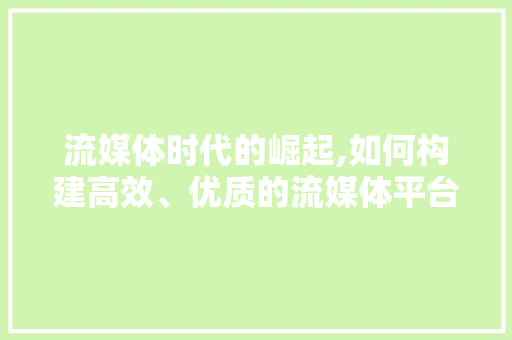 流媒体时代的崛起,如何构建高效、优质的流媒体平台