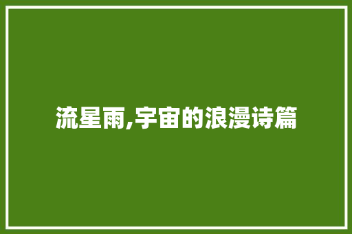 流星雨,宇宙的浪漫诗篇