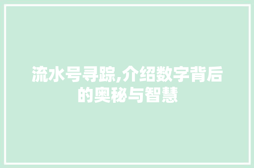 流水号寻踪,介绍数字背后的奥秘与智慧 友链在线
