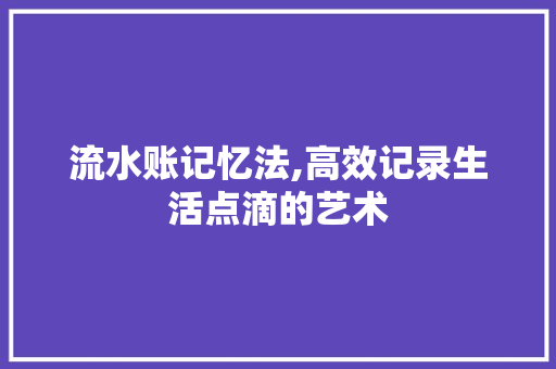 流水账记忆法,高效记录生活点滴的艺术