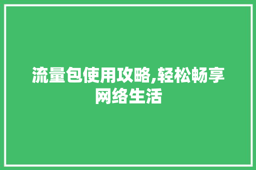 流量包使用攻略,轻松畅享网络生活 WordPress教程