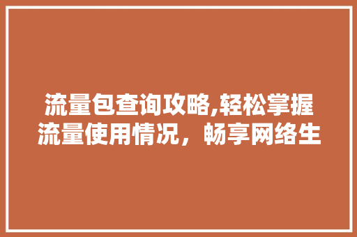 流量包查询攻略,轻松掌握流量使用情况，畅享网络生活