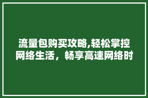 流量包购买攻略,轻松掌控网络生活，畅享高速网络时代 建站教程