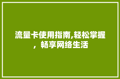 流量卡使用指南,轻松掌握，畅享网络生活
