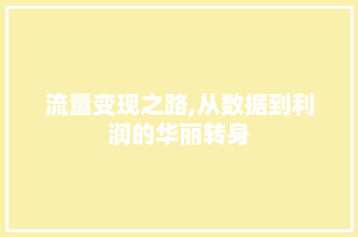 流量变现之路,从数据到利润的华丽转身