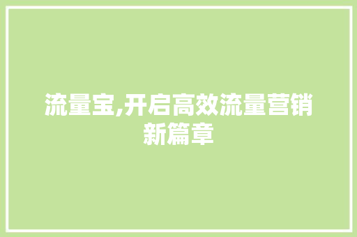 流量宝,开启高效流量营销新篇章 建站教程