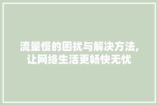 流量慢的困扰与解决方法,让网络生活更畅快无忧 建站教程
