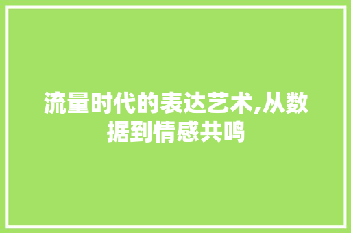 流量时代的表达艺术,从数据到情感共鸣