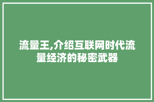 流量王,介绍互联网时代流量经济的秘密武器 Web前端