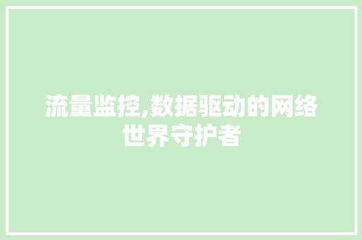 流量监控,数据驱动的网络世界守护者