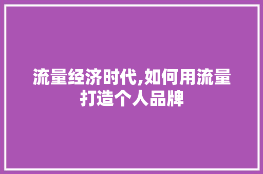 流量经济时代,如何用流量打造个人品牌 服务器/数据库