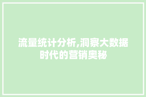 流量统计分析,洞察大数据时代的营销奥秘 SEO教程