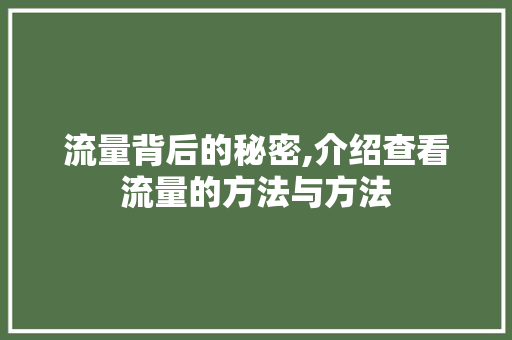 流量背后的秘密,介绍查看流量的方法与方法