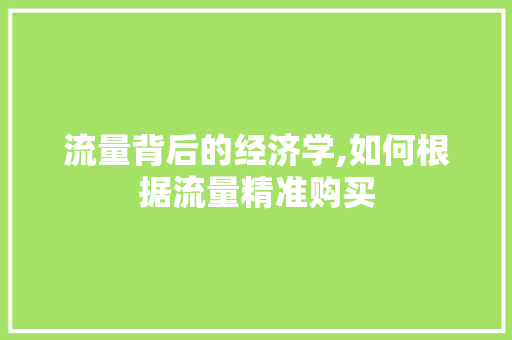 流量背后的经济学,如何根据流量精准购买 Web前端