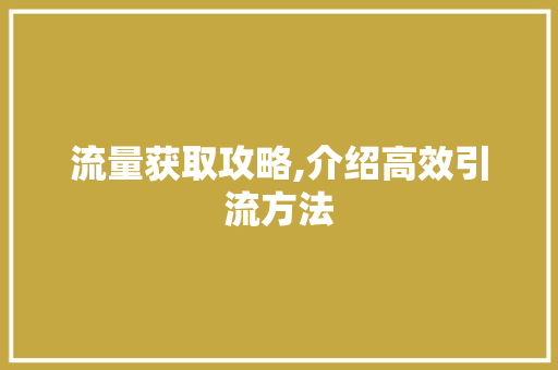 流量获取攻略,介绍高效引流方法