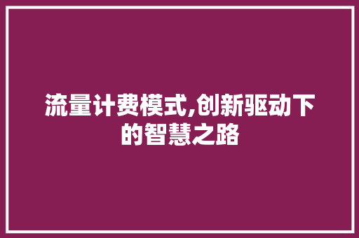 流量计费模式,创新驱动下的智慧之路 SEO教程