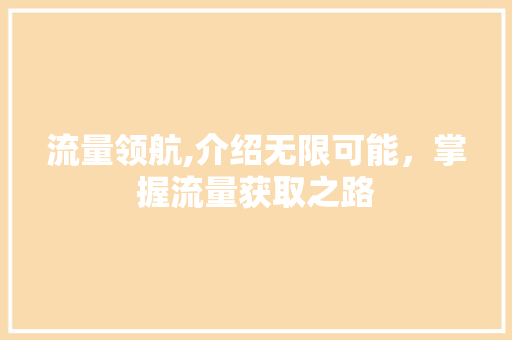 流量领航,介绍无限可能，掌握流量获取之路