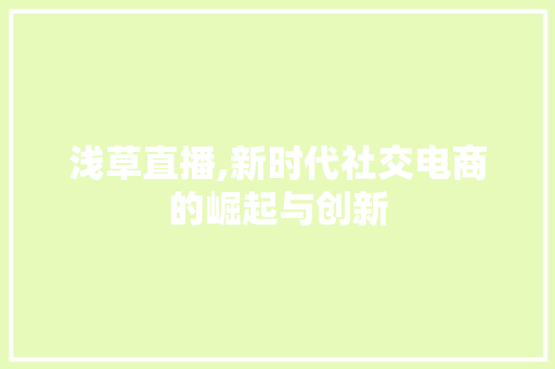 浅草直播,新时代社交电商的崛起与创新