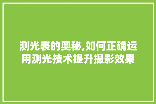 测光表的奥秘,如何正确运用测光技术提升摄影效果