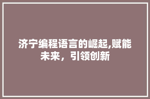 济宁编程语言的崛起,赋能未来，引领创新