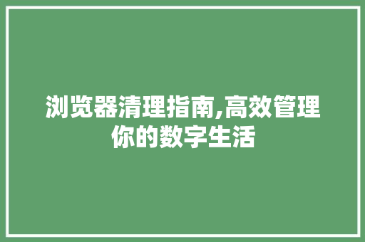 浏览器清理指南,高效管理你的数字生活