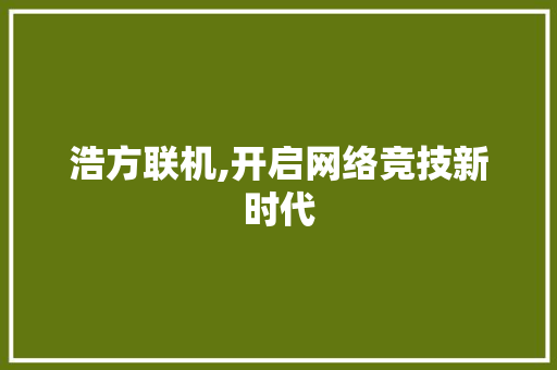 浩方联机,开启网络竞技新时代