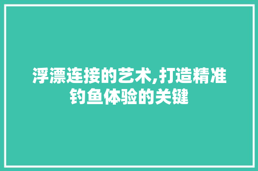 浮漂连接的艺术,打造精准钓鱼体验的关键