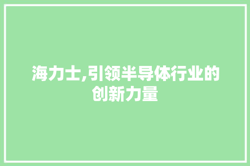 海力士,引领半导体行业的创新力量