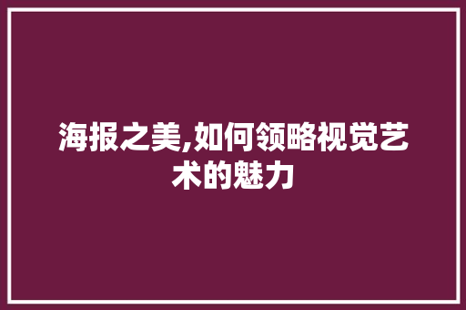 海报之美,如何领略视觉艺术的魅力 WordPress教程