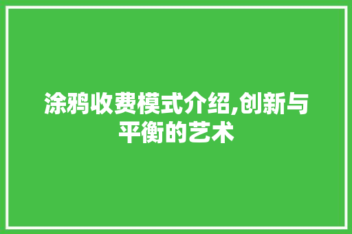 涂鸦收费模式介绍,创新与平衡的艺术 SEO教程
