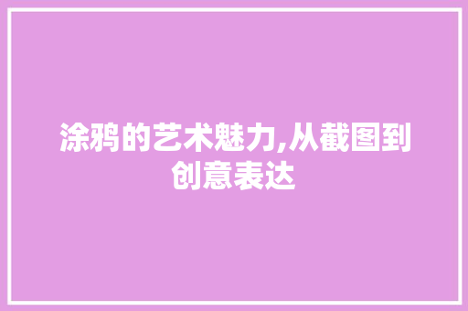 涂鸦的艺术魅力,从截图到创意表达