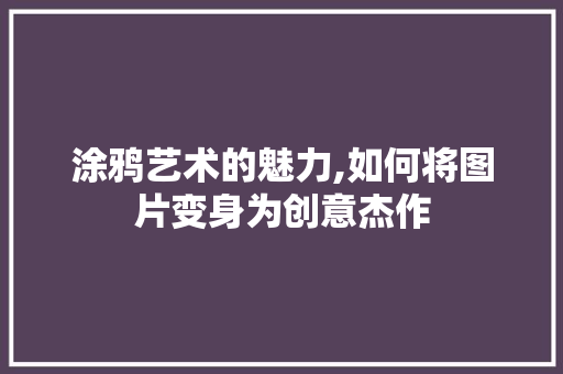 涂鸦艺术的魅力,如何将图片变身为创意杰作 WordPress教程