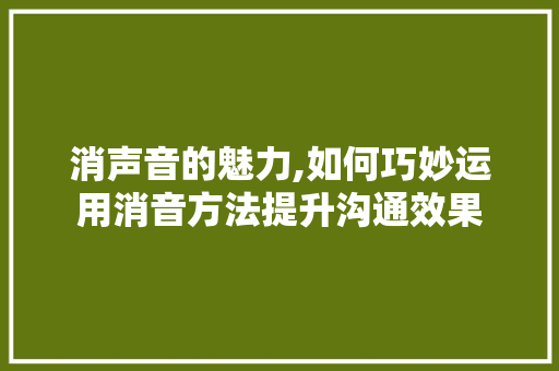 消声音的魅力,如何巧妙运用消音方法提升沟通效果 SEO教程