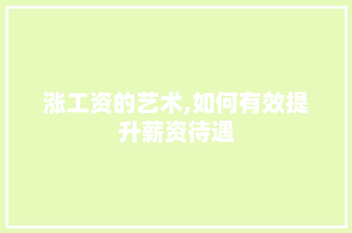 涨工资的艺术,如何有效提升薪资待遇 建站教程
