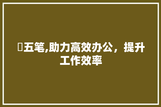 淏五笔,助力高效办公，提升工作效率 建站教程