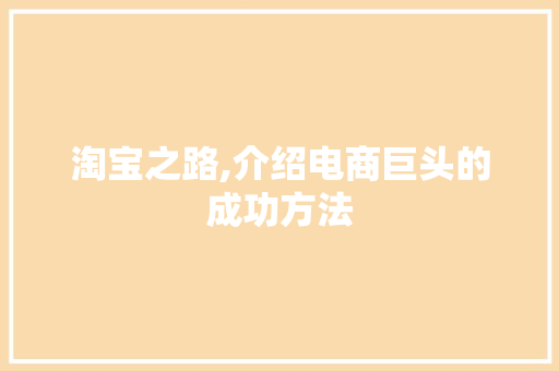 淘宝之路,介绍电商巨头的成功方法 SEO教程