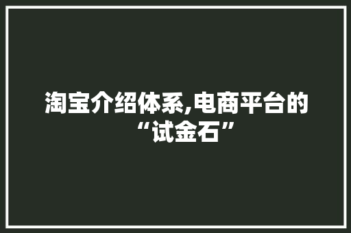 淘宝介绍体系,电商平台的“试金石” 建站教程