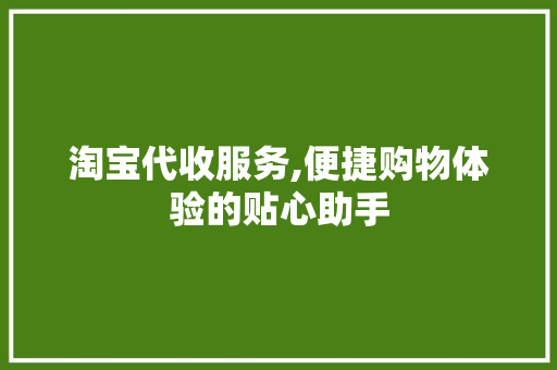 淘宝代收服务,便捷购物体验的贴心助手