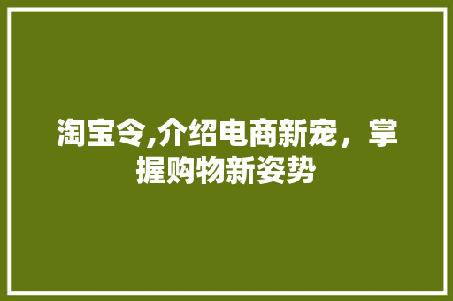淘宝令,介绍电商新宠，掌握购物新姿势