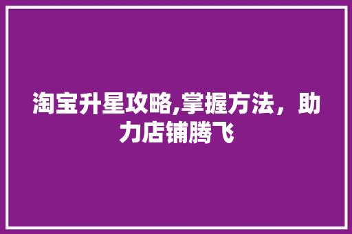 淘宝升星攻略,掌握方法，助力店铺腾飞