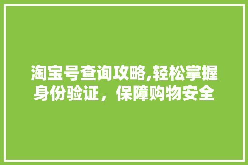 淘宝号查询攻略,轻松掌握身份验证，保障购物安全