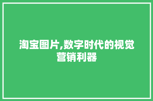 淘宝图片,数字时代的视觉营销利器