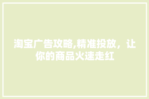 淘宝广告攻略,精准投放，让你的商品火速走红