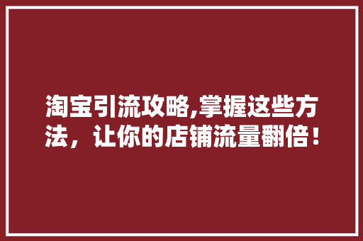 淘宝引流攻略,掌握这些方法，让你的店铺流量翻倍！