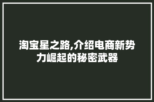 淘宝星之路,介绍电商新势力崛起的秘密武器