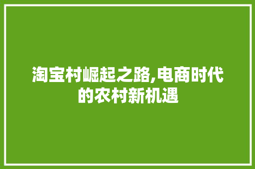 淘宝村崛起之路,电商时代的农村新机遇