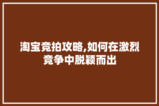 淘宝竞拍攻略,如何在激烈竞争中脱颖而出