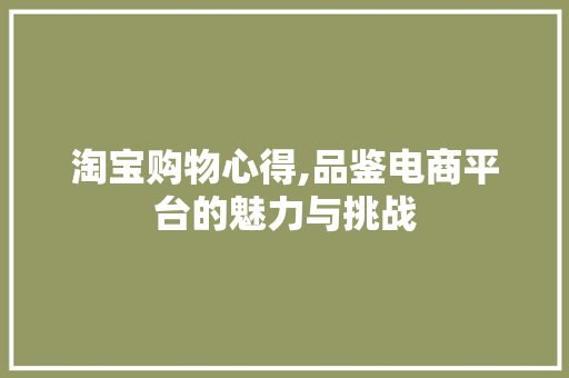 淘宝购物心得,品鉴电商平台的魅力与挑战